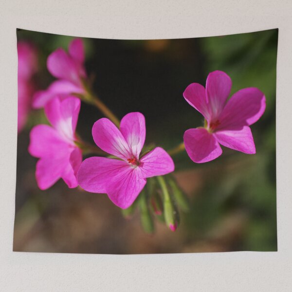 Item preview, Geranium Pink designed and sold by Joy Watson - Natural Light Photography .