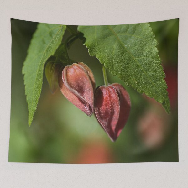 Item preview, Two Chinese Lanterns designed and sold by Joy Watson - Natural Light Photography .