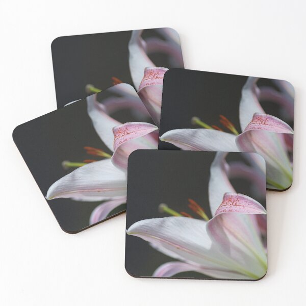 Item preview, Petal Beauty Lily designed and sold by Joy Watson - Natural Light Photography .