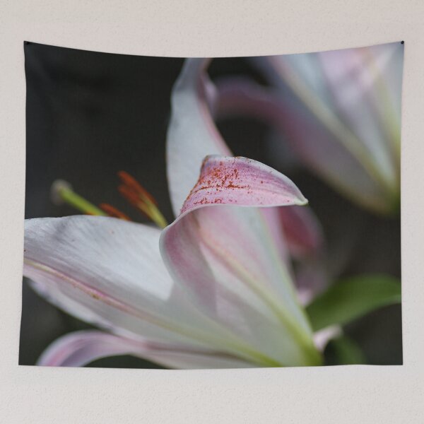 Item preview, Petal Beauty Lily designed and sold by Joy Watson - Natural Light Photography .