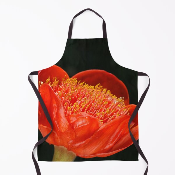 Item preview, Paintbrush Lily Glows designed and sold by Joy Watson - Natural Light Photography .
