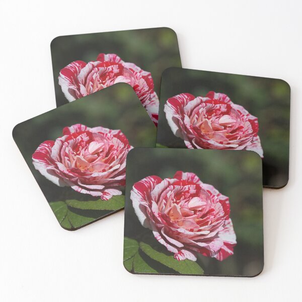 Item preview, The Scentimental Rose designed and sold by Joy Watson - Natural Light Photography .