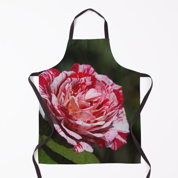 Item preview, The Scentimental Rose designed and sold by Joy Watson - Natural Light Photography .