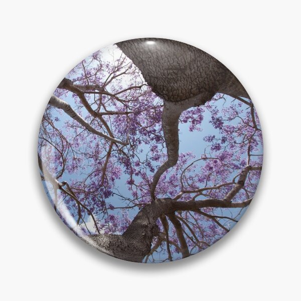 Item preview, Jacaranda time  designed and sold by MargsNaturePix.