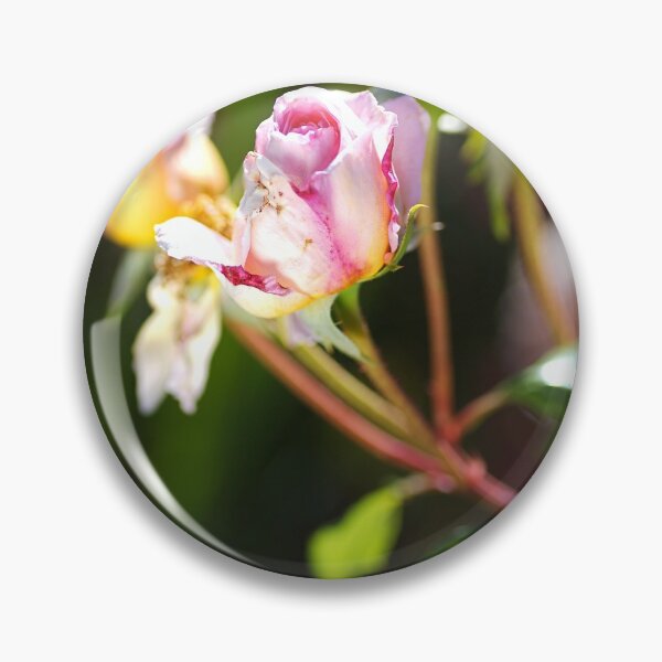 Item preview, The Soft Pink Buds designed and sold by Joy Watson - Natural Light Photography .