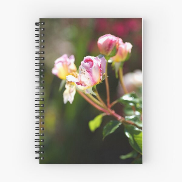Item preview, The Soft Pink Buds designed and sold by Joy Watson - Natural Light Photography .