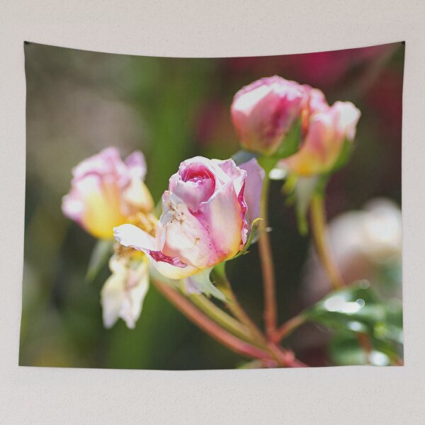Item preview, The Soft Pink Buds designed and sold by Joy Watson - Natural Light Photography .