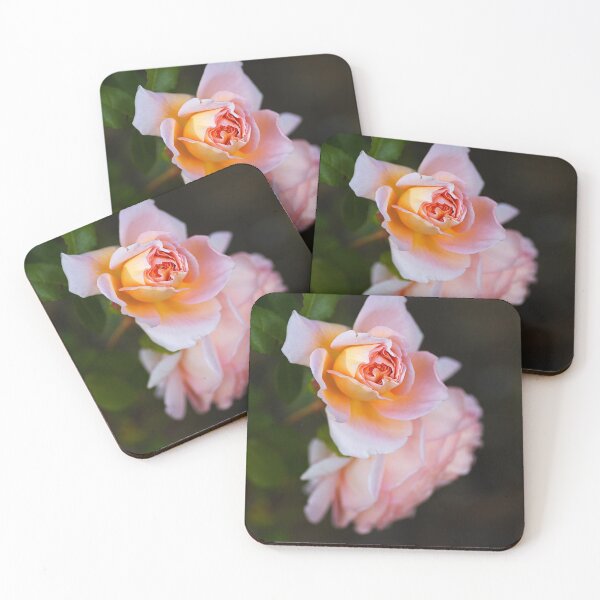 Item preview, The Romantic Roses Pink Flower designed and sold by Joy Watson - Natural Light Photography .