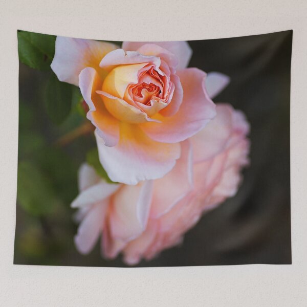 Item preview, The Romantic Roses Pink Flower designed and sold by Joy Watson - Natural Light Photography .