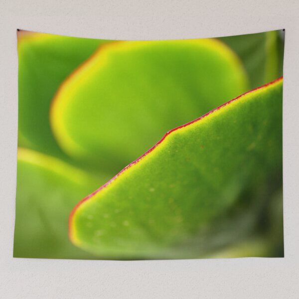 Item preview, Pigs Ear Cactus  designed and sold by Joy Watson - Natural Light Photography .