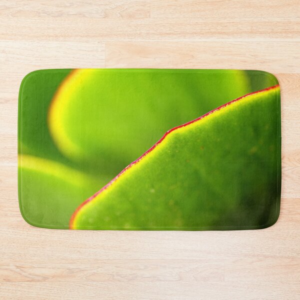 Item preview, Pigs Ear Cactus  designed and sold by Joy Watson - Natural Light Photography .