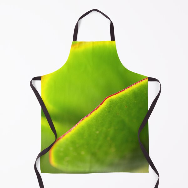 Item preview, Pigs Ear Cactus designed and sold by Joy Watson - Natural Light Photography .