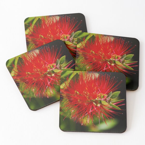 Item preview, Red Bottlebrush Flower designed and sold by Joy Watson - Natural Light Photography .