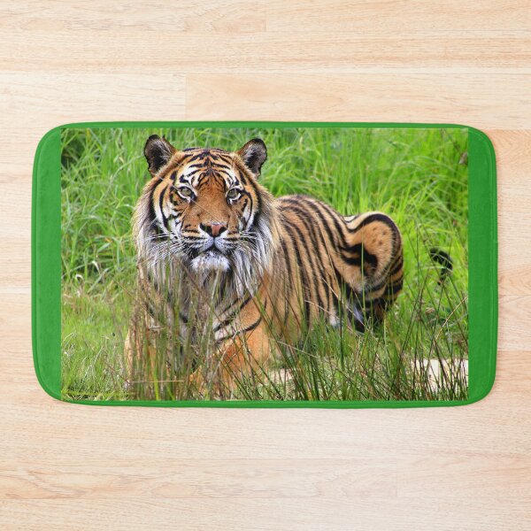 Item preview, Sumatran Tiger (5) designed and sold by Phil Le Cren.