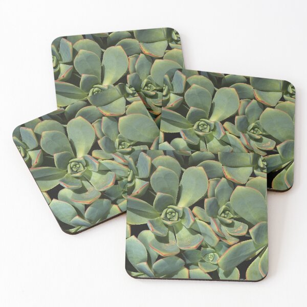 Item preview, Hens And Chicks Green designed and sold by Joy Watson - Natural Light Photography .