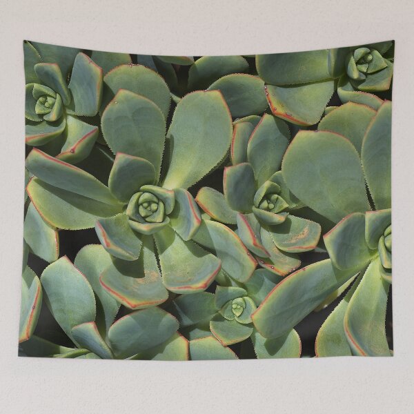 Item preview, Hens And Chicks Green designed and sold by Joy Watson - Natural Light Photography .
