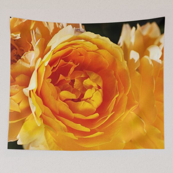 Item preview, Roses Of Orange designed and sold by Joy Watson - Natural Light Photography .