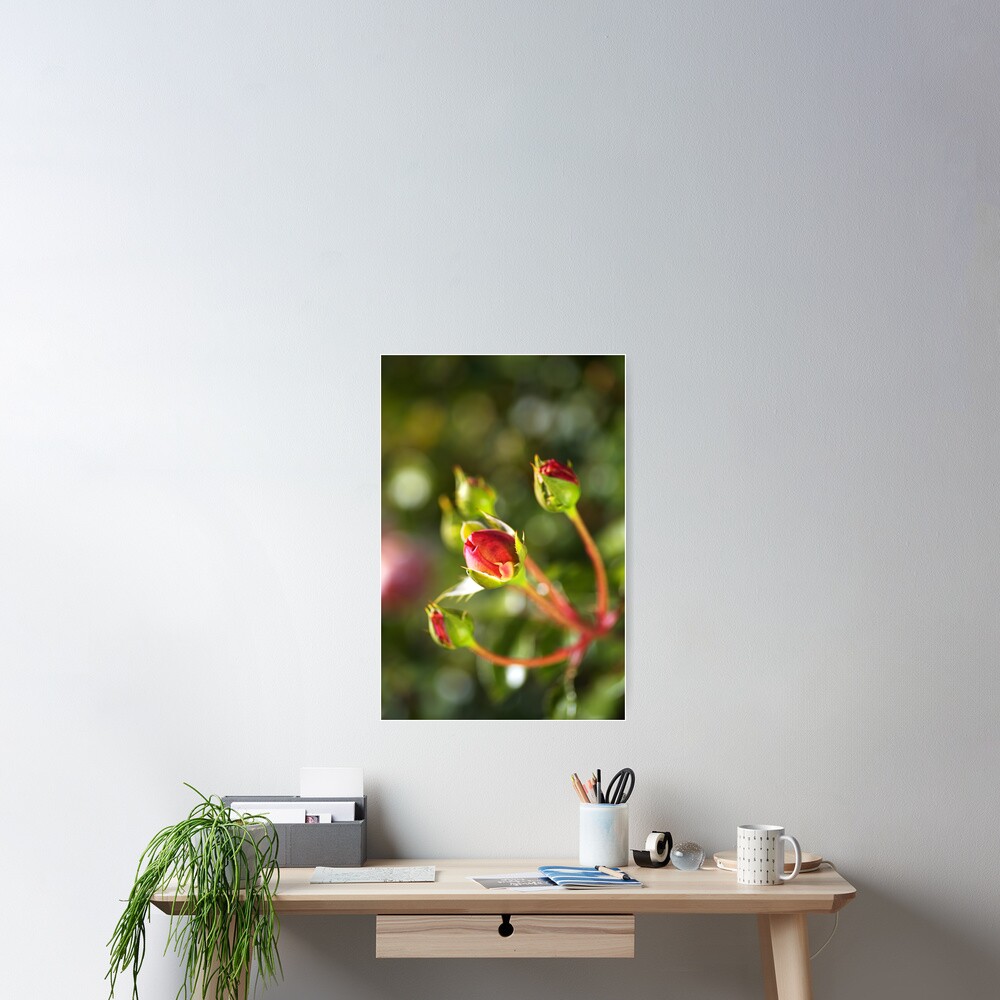 Item preview, Poster designed and sold by bubbleblue.