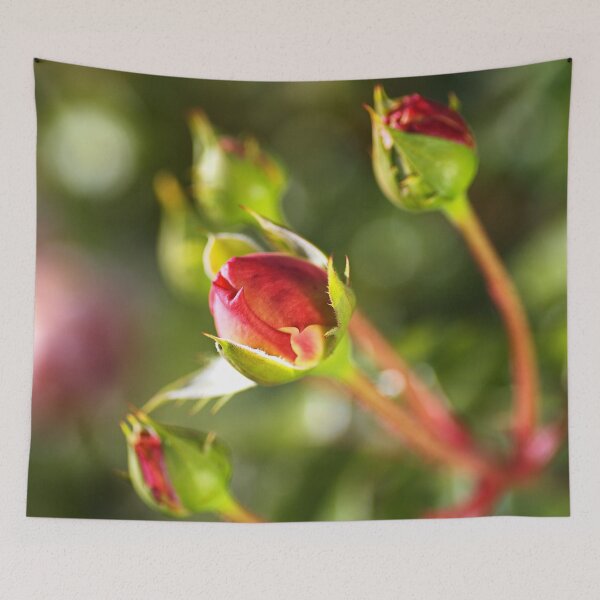 Item preview, Rose Buds In Red  designed and sold by Joy Watson - Natural Light Photography .