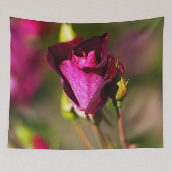 Item preview, Rose Bud Has Rich Pink  designed and sold by Joy Watson - Natural Light Photography .