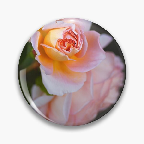 Item preview, The Romantic Roses Pink Flower designed and sold by Joy Watson - Natural Light Photography .