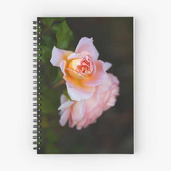 Item preview, The Romantic Roses Pink Flower designed and sold by Joy Watson - Natural Light Photography .