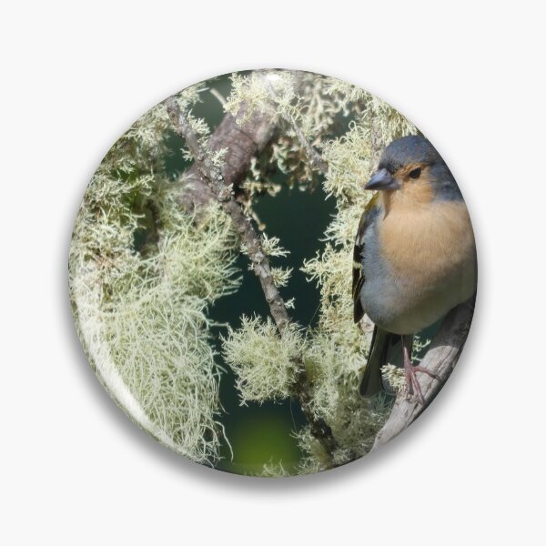 Item preview, Madeira Finch designed and sold by gruntpig.