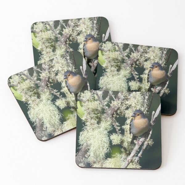 Item preview, Madeira Finch designed and sold by gruntpig.