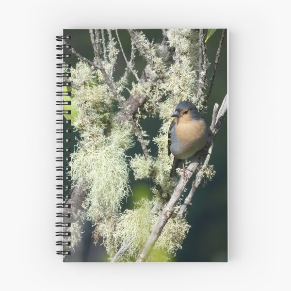 Item preview, Madeira Finch designed and sold by gruntpig.