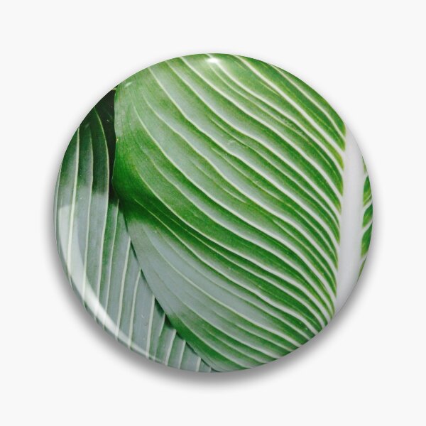Item preview, Palm tree leaf designed and sold by sertii.