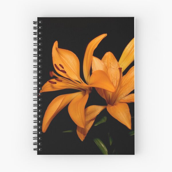 Item preview, Lily  designed and sold by Yalson.