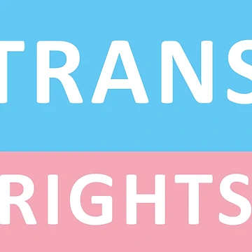 Artwork thumbnail, Trans Rights by Probing