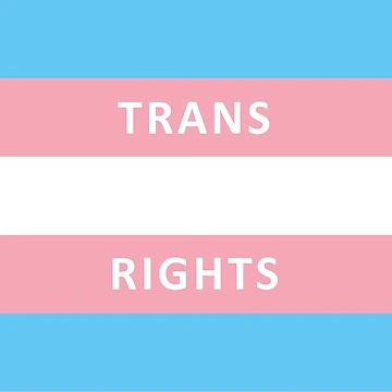 Artwork thumbnail, Trans Rights Flag by Probing