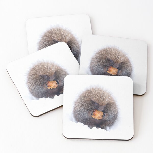 Item preview, Baby porcupine eating an apple designed and sold by James Cumming.