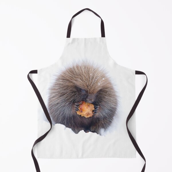 Item preview, Baby porcupine eating an apple designed and sold by James Cumming.