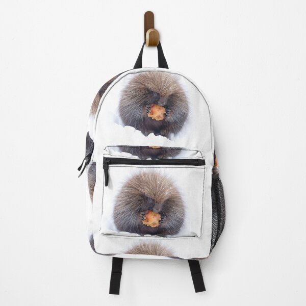 Item preview, Baby porcupine eating an apple designed and sold by James Cumming.