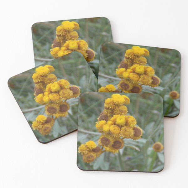 Item preview, Paper Daisy Flower designed and sold by Naomi80.