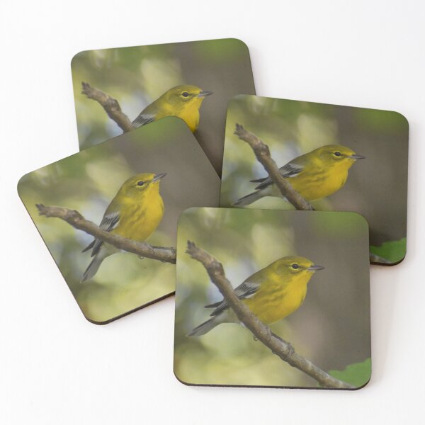 Item preview, Pine warbler on a branch designed and sold by Tonia Delozier's Photography .