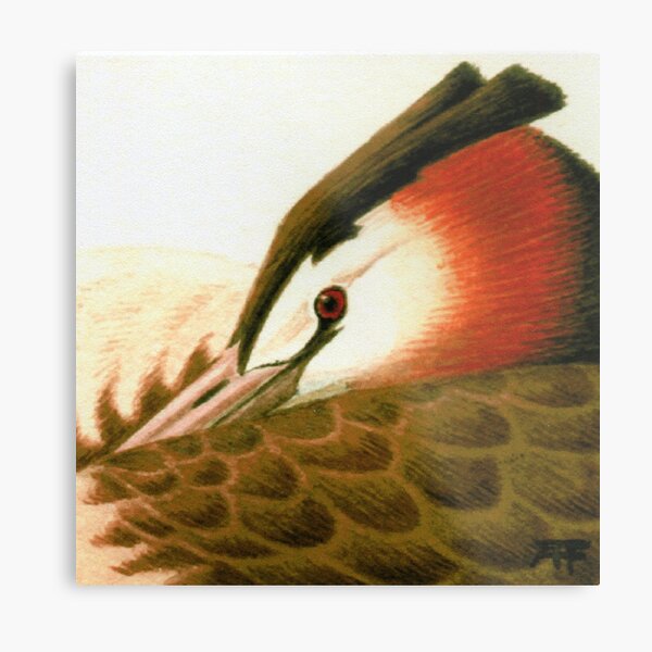 Great Crested Grebe Metal Print