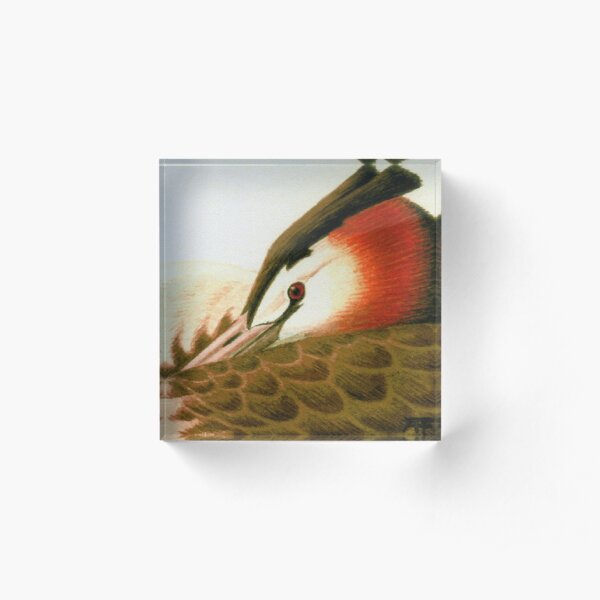 Great Crested Grebe Acrylic Block