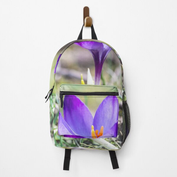 Item preview, Single purple saffron Crocus flower close up designed and sold by Grégory DUBUS.