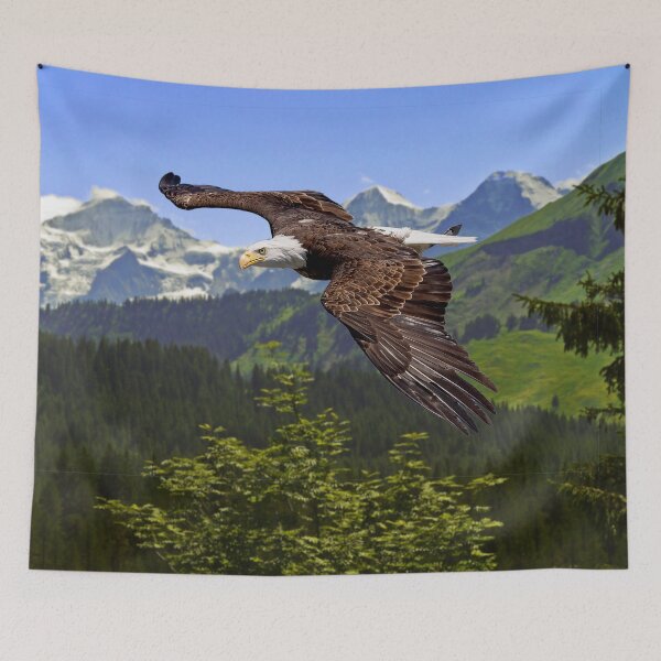 Item preview, Bald Eagle Above Mountain Forest designed and sold by thedvguy.