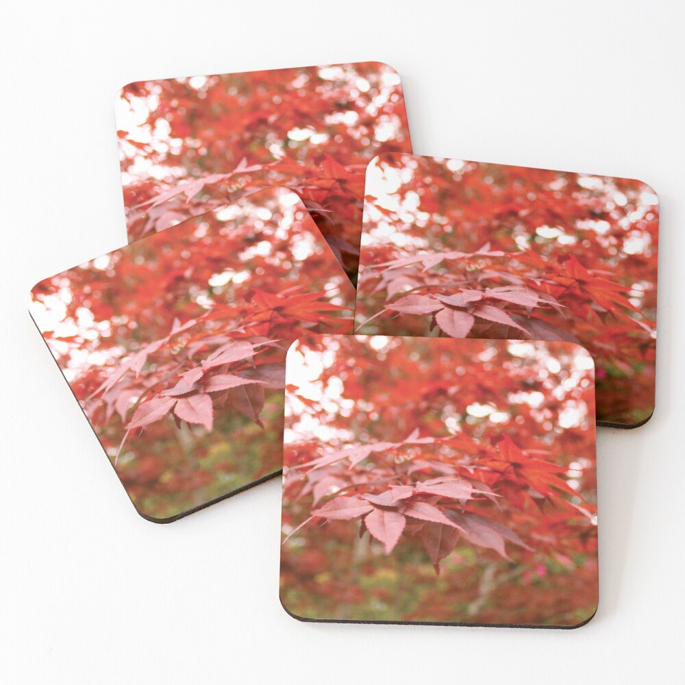 Item preview, Coasters (Set of 4) designed and sold by AmberleeCraftin.