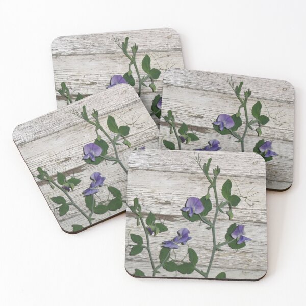 Item preview, Sweet Pea On Distressed Wall | My Australia designed and sold by SerendipityNow.