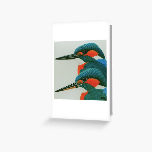 Kingfisher pair Greeting Card