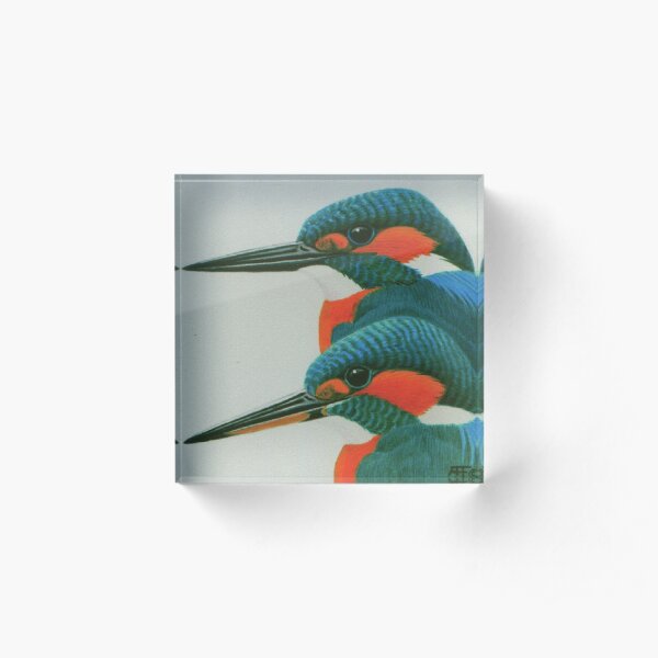 Kingfisher pair Acrylic Block