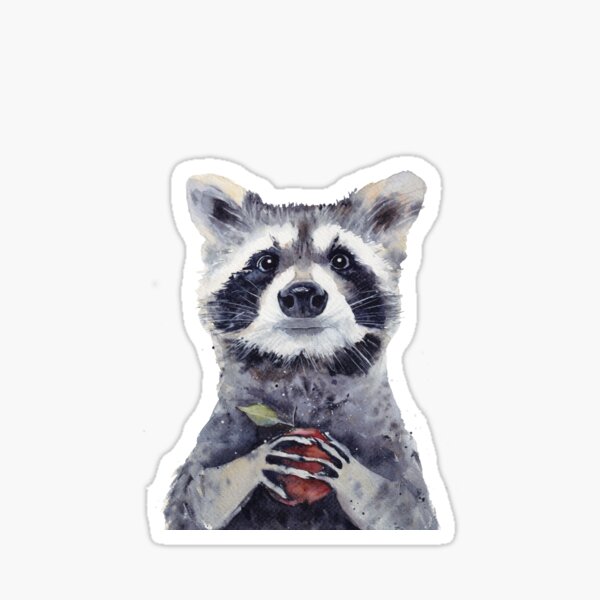 Watercolor Raccoon Printable Stickers Graphic by amaydastore