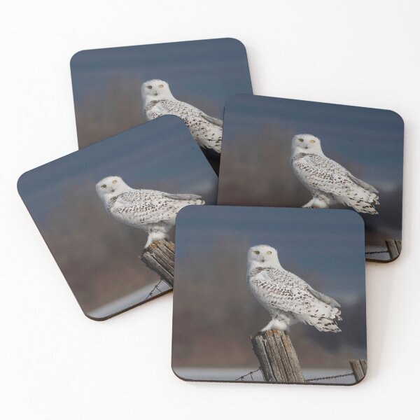 Item preview, Snowy Owl at Sunrise designed and sold by James Cumming.