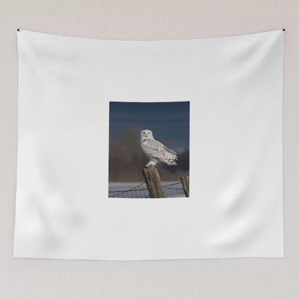 Item preview, Snowy Owl at Sunrise designed and sold by James Cumming.