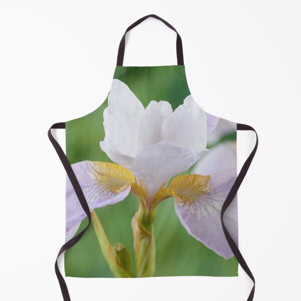 Item preview, Iris sibirica Siberian iris designed and sold by Chris Burrows.